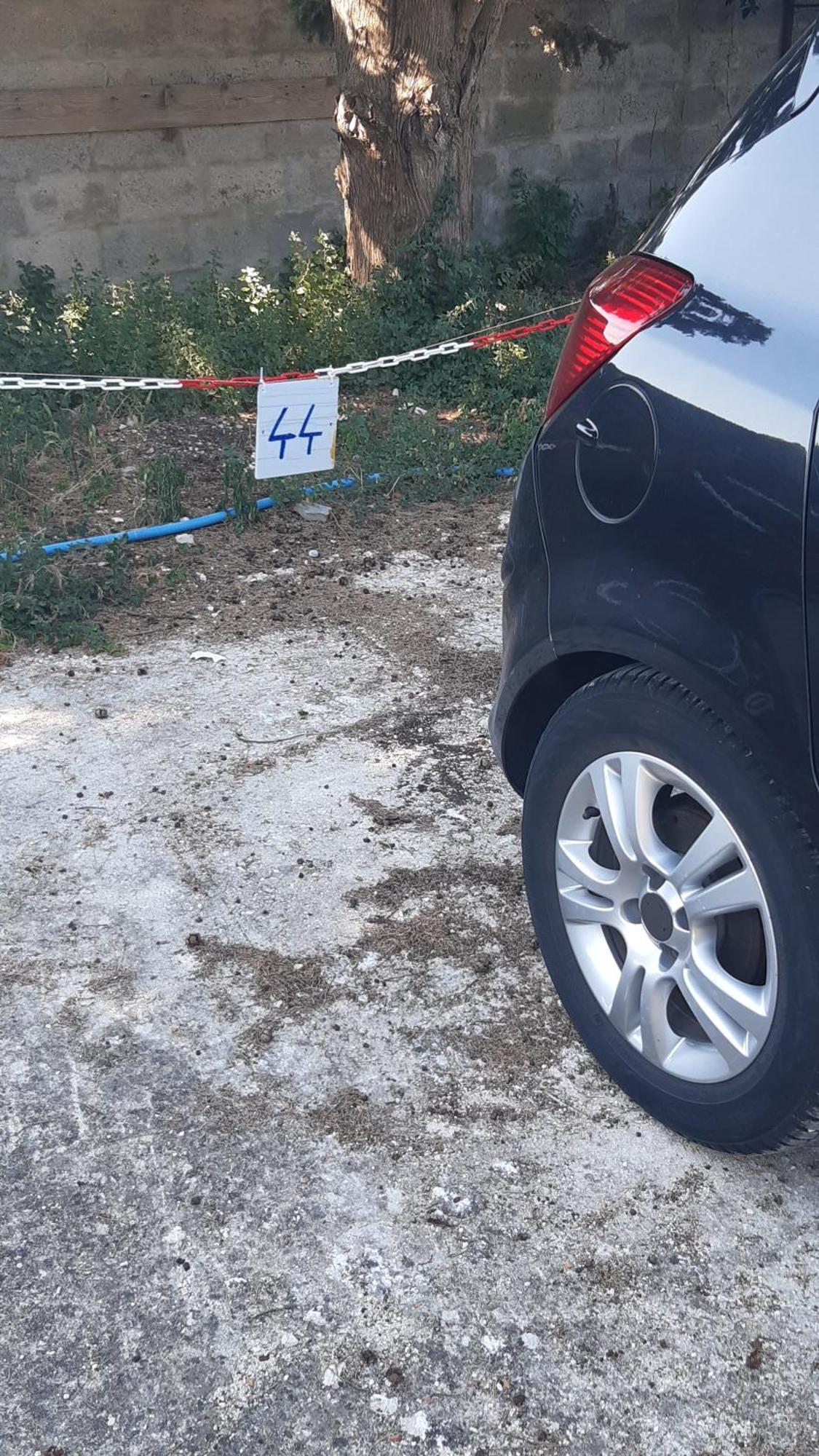 רוביני Apartment Zdenac מראה חיצוני תמונה